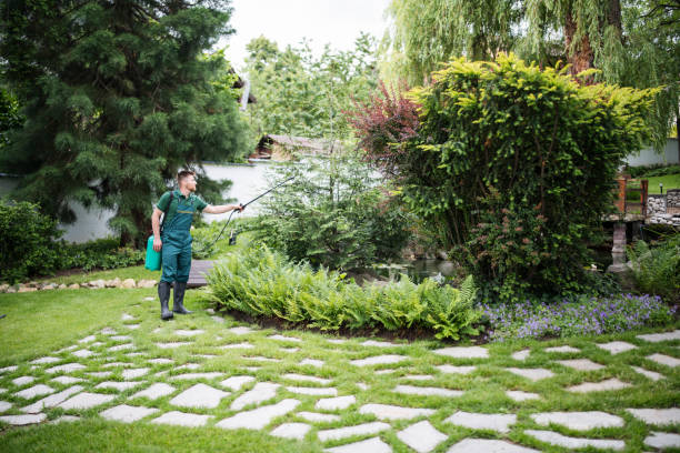 Wasp Removal Services in Sunnyvale, TX