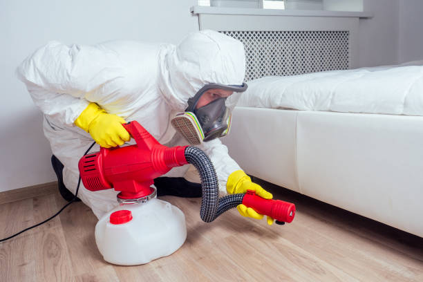 Best Local Pest Control Services  in Sunnyvale, TX